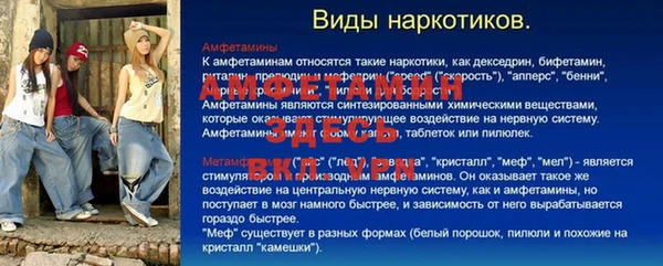 крисы Богородицк